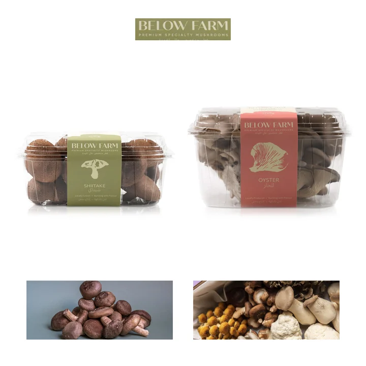 Below Farm: Sampler collection